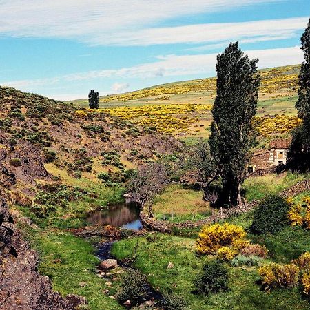 Casa Rural La Vereilla Barajas de Gredos Eksteriør bilde