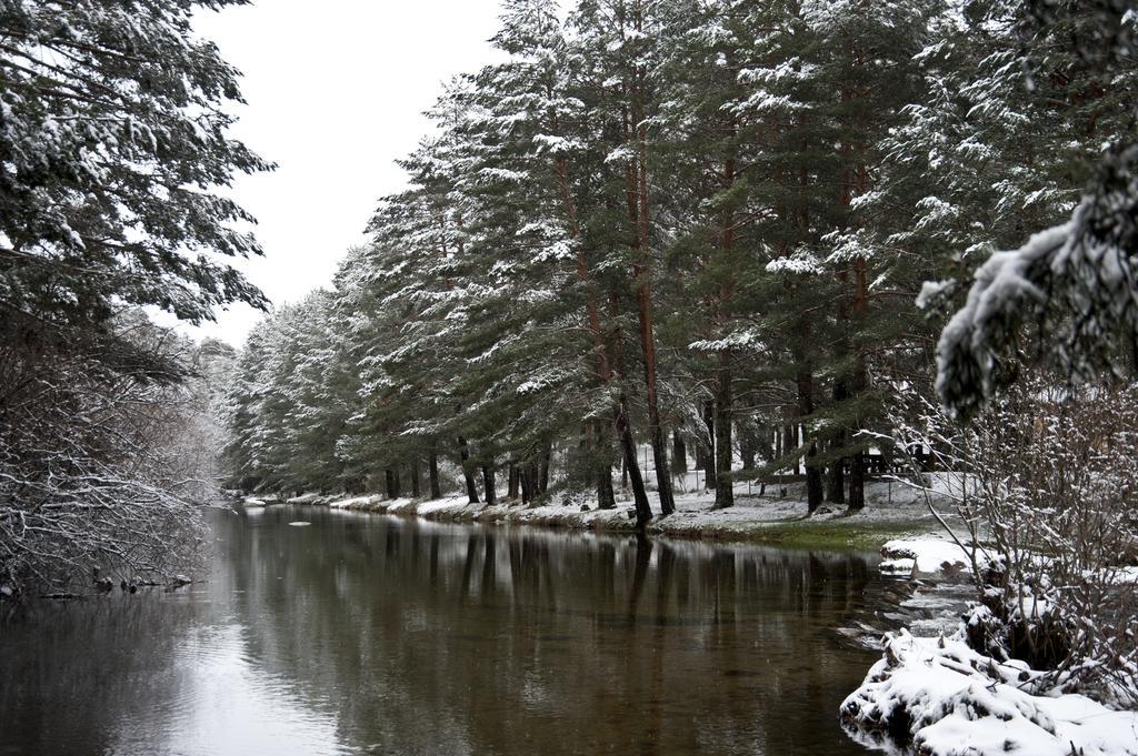 Casa Rural La Vereilla Barajas de Gredos Eksteriør bilde