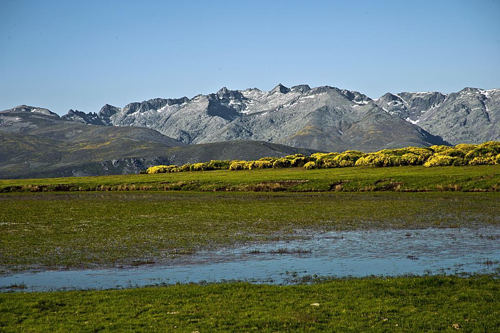 Casa Rural La Vereilla Barajas de Gredos Eksteriør bilde