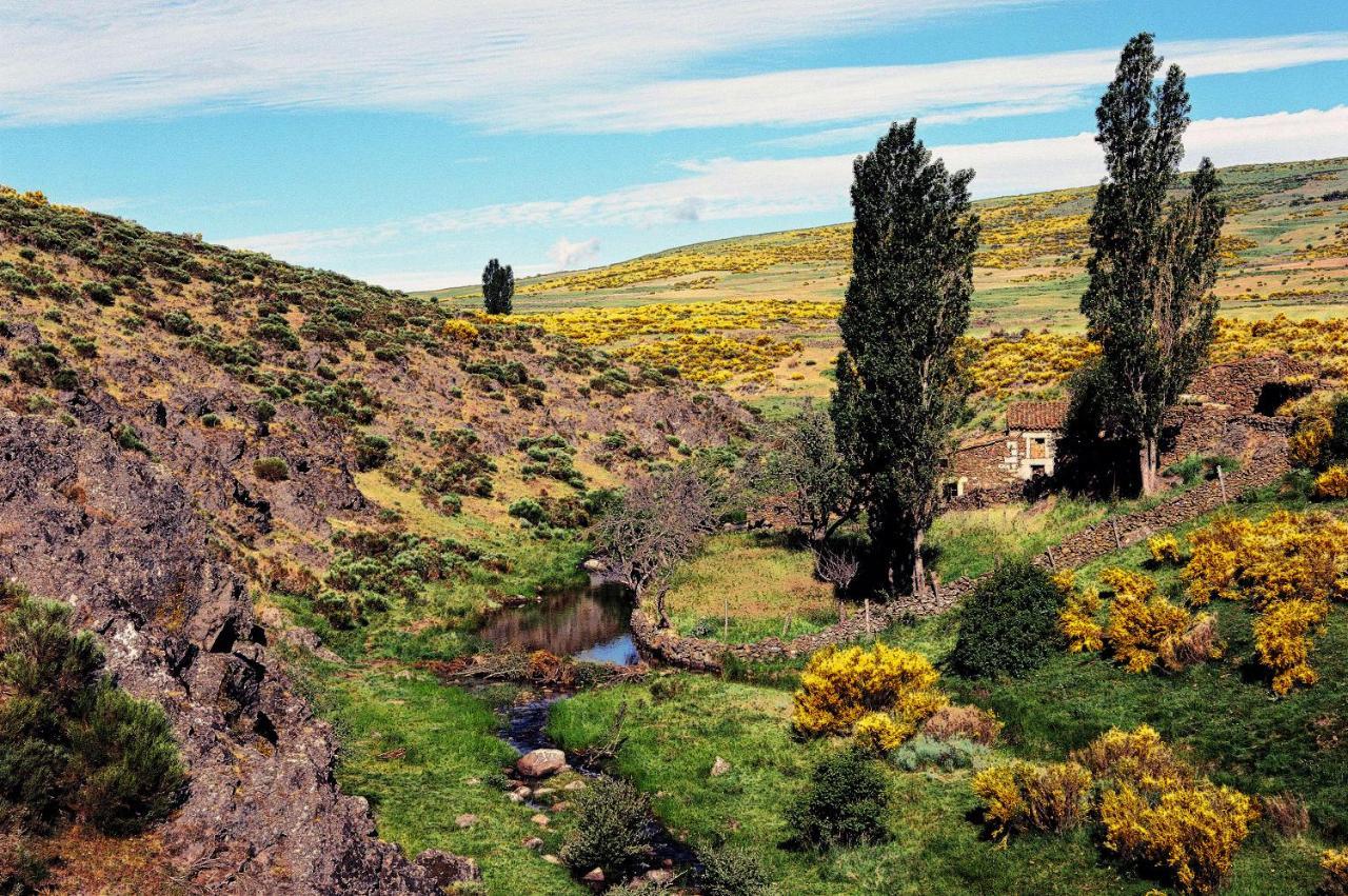 Casa Rural La Vereilla Barajas de Gredos Eksteriør bilde